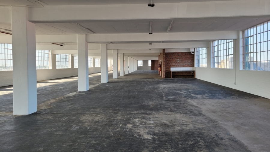 To Let commercial Property for Rent in Diep River Western Cape